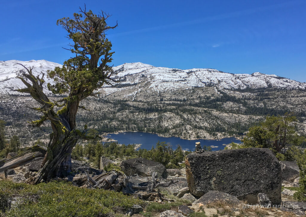 High Wild Ramblings