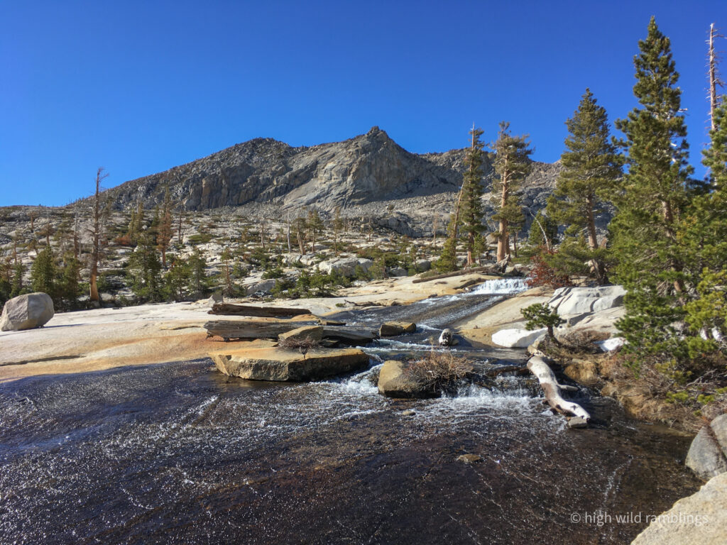 High Wild Ramblings