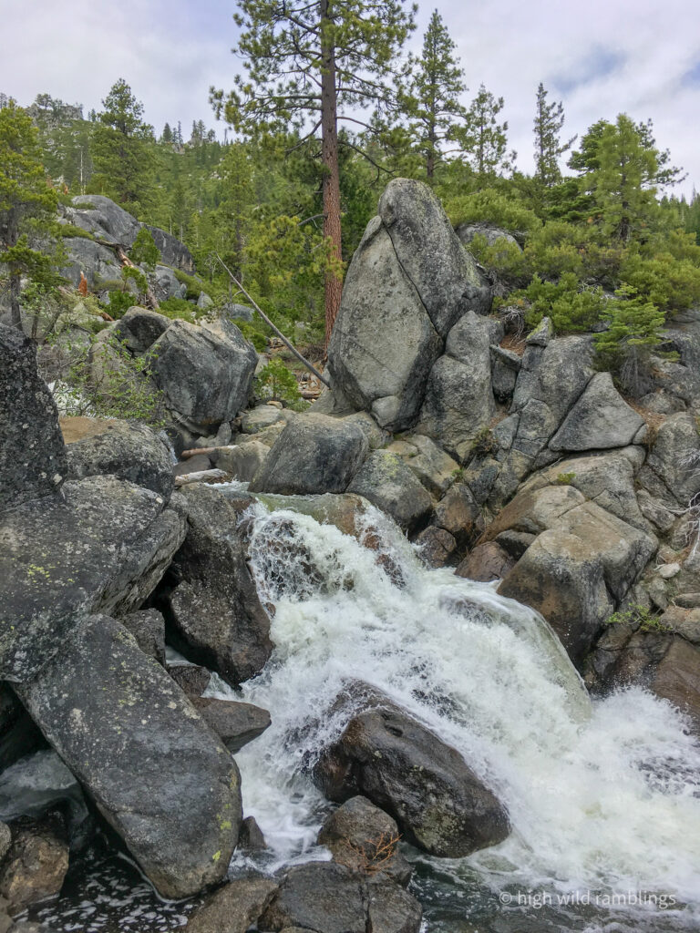 High Wild Ramblings