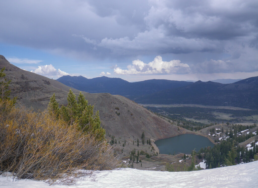 High Wild Ramblings