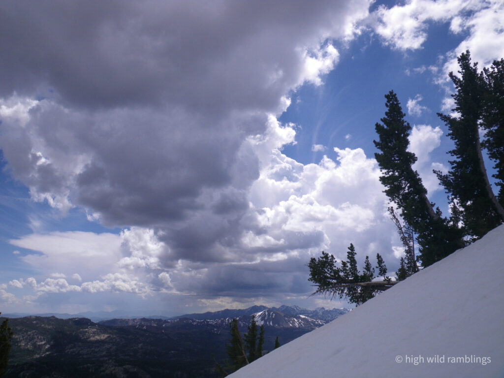 High Wild Ramblings