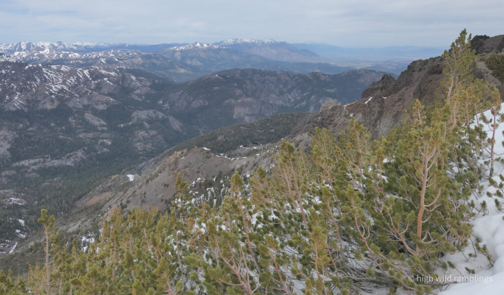 High Wild Ramblings