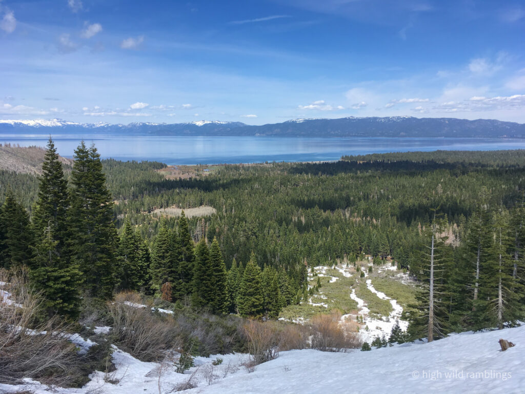High Wild Ramblings