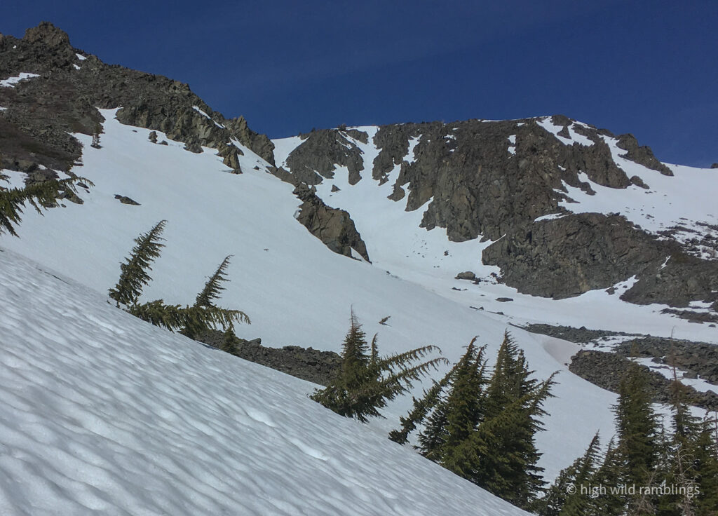 High Wild Ramblings