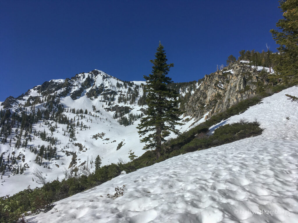 High Wild Ramblings