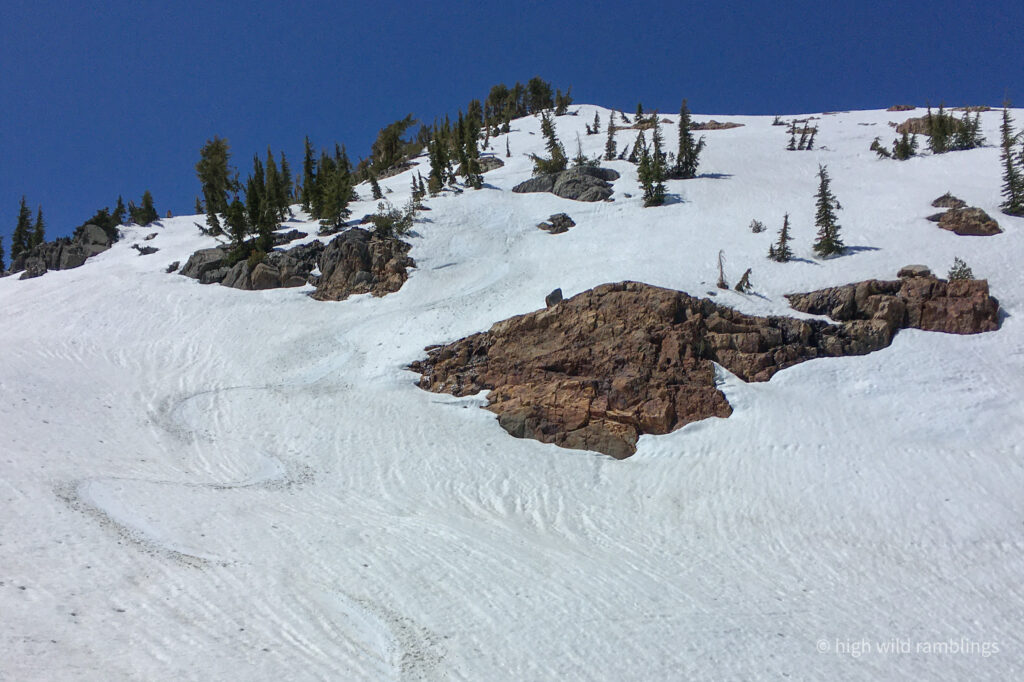 High Wild Ramblings