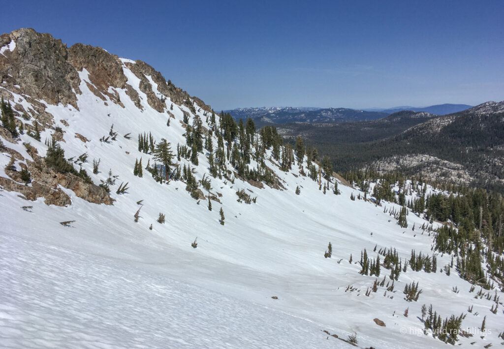 High Wild Ramblings