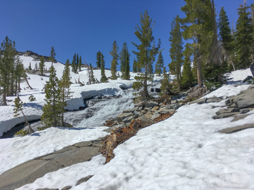 High Wild Ramblings