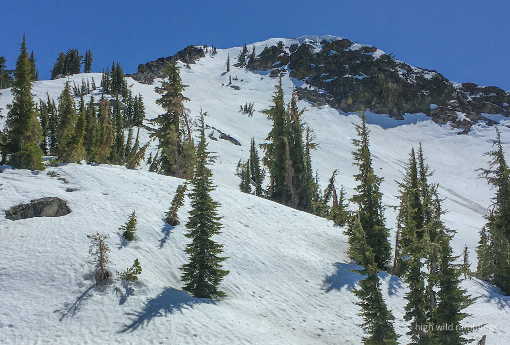 High Wild Ramblings