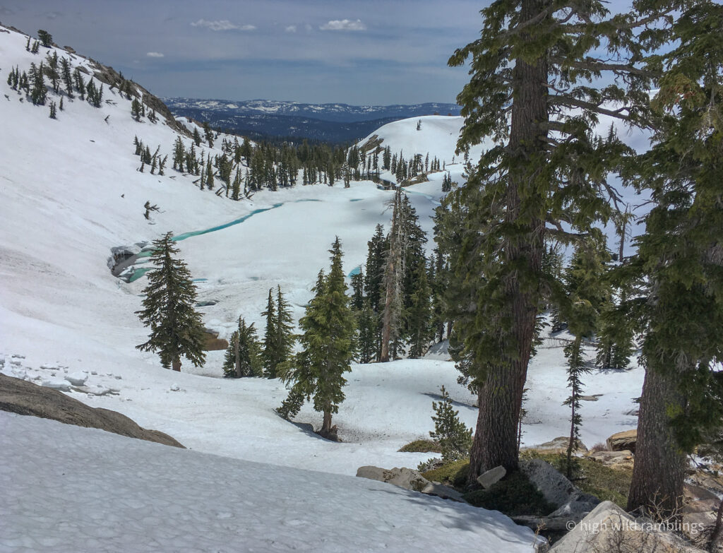 High Wild Ramblings