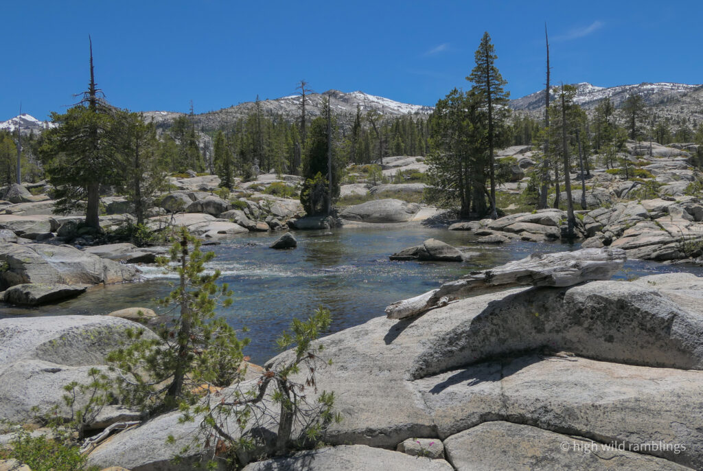 High Wild Ramblings