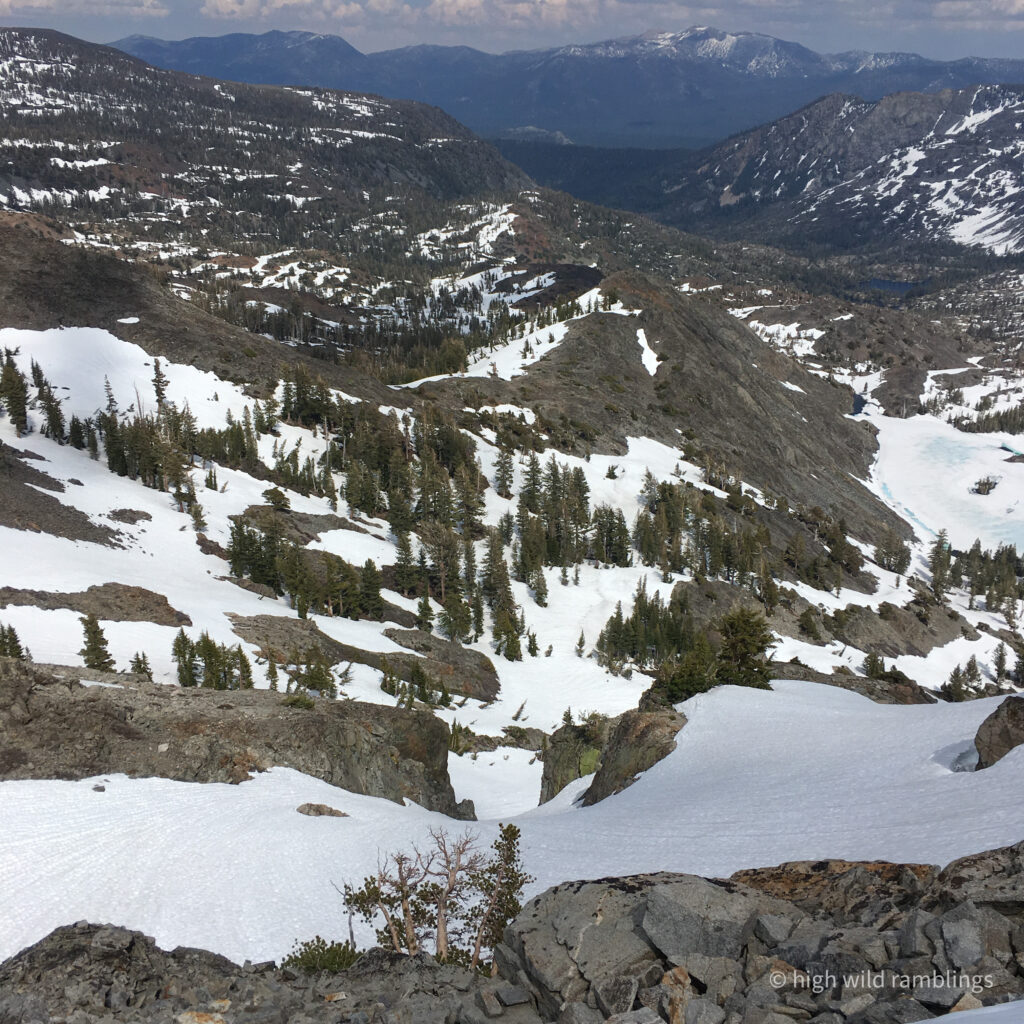 High Wild Ramblings
