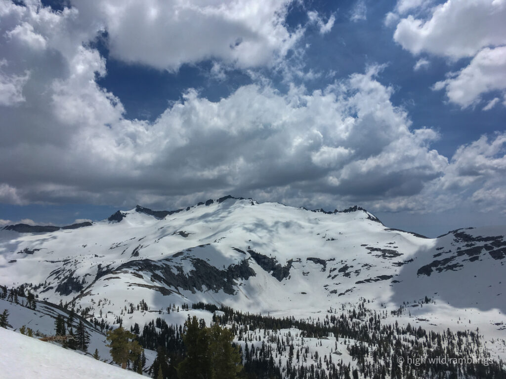 High Wild Ramblings