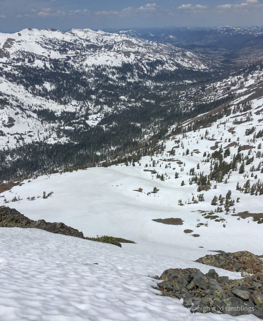 High Wild Ramblings
