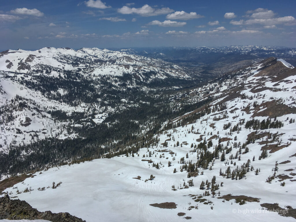 High Wild Ramblings