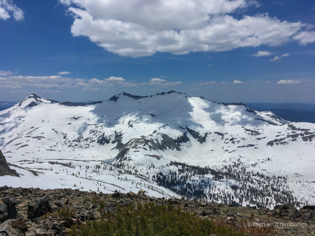 High Wild Ramblings