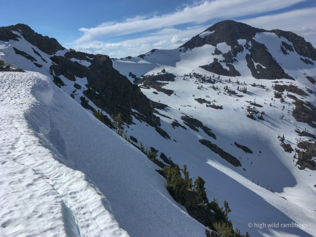 High Wild Ramblings