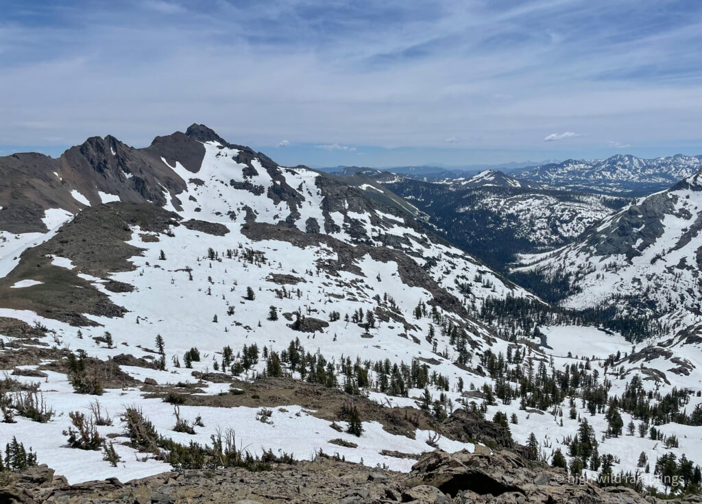 High Wild Ramblings