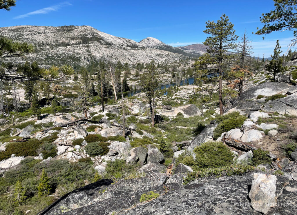 High Wild Ramblings