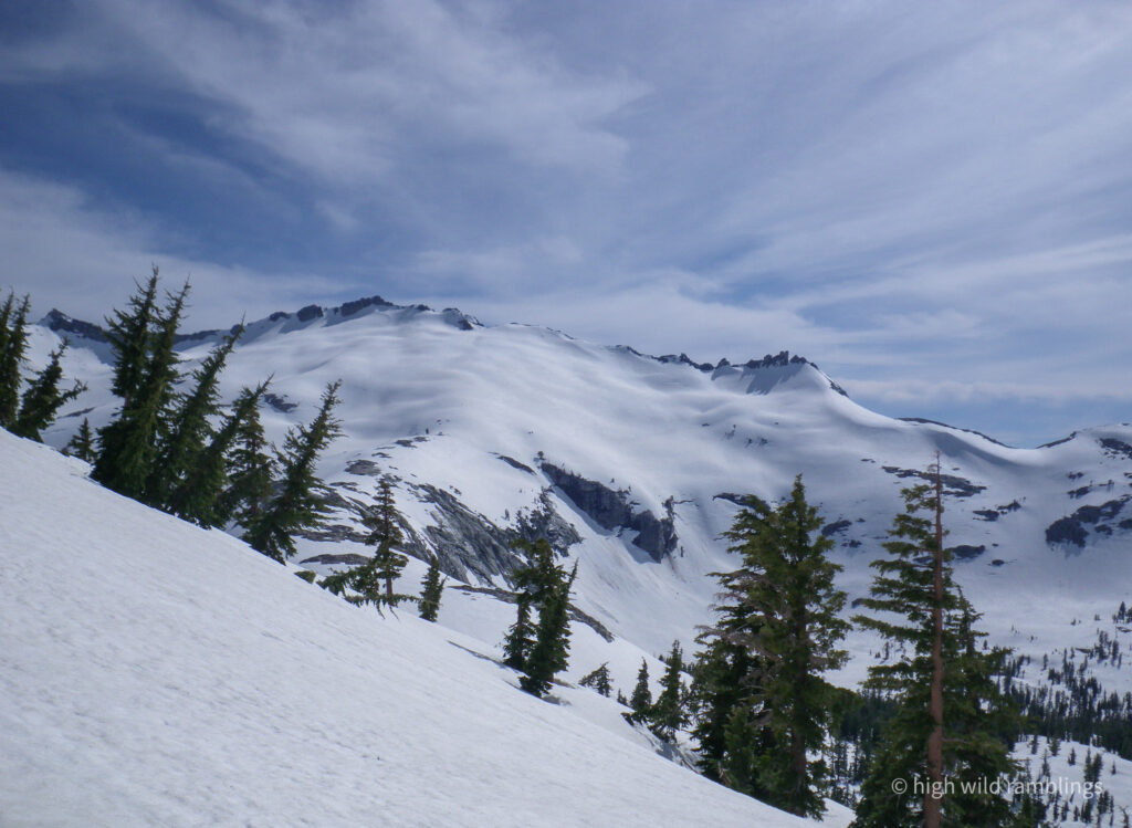 High Wild Ramblings