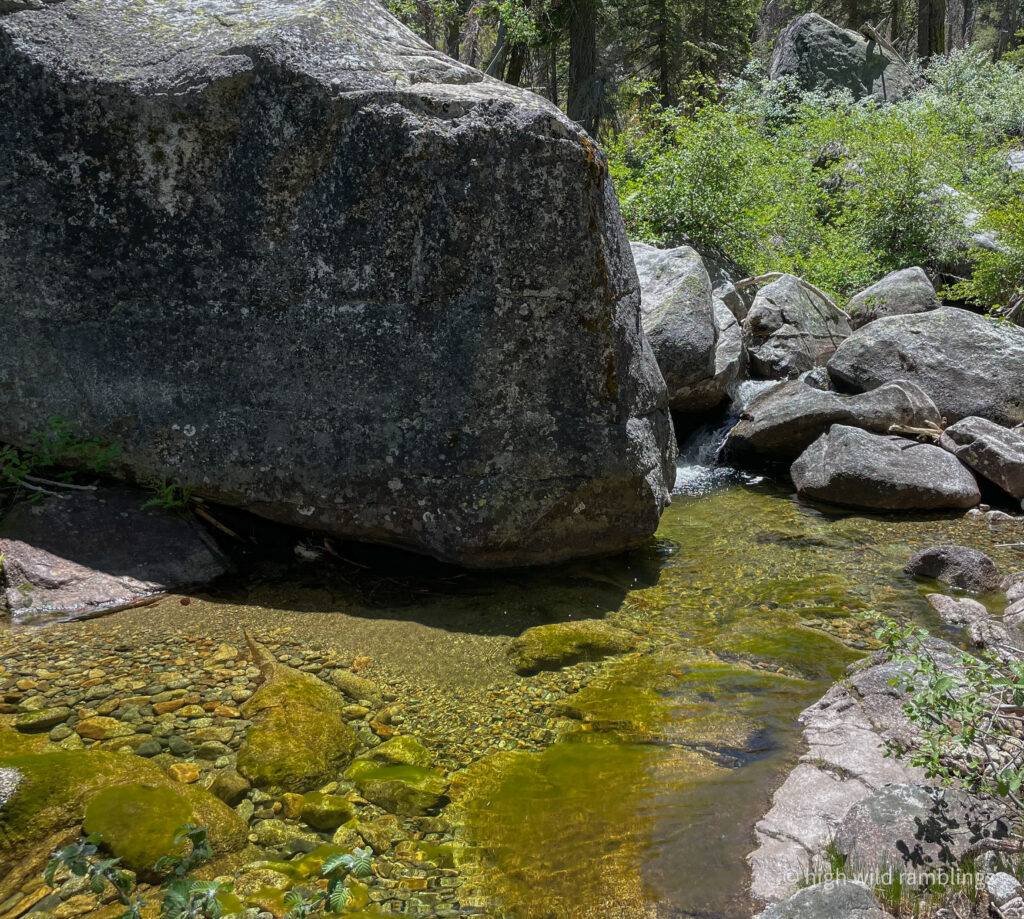High Wild Ramblings