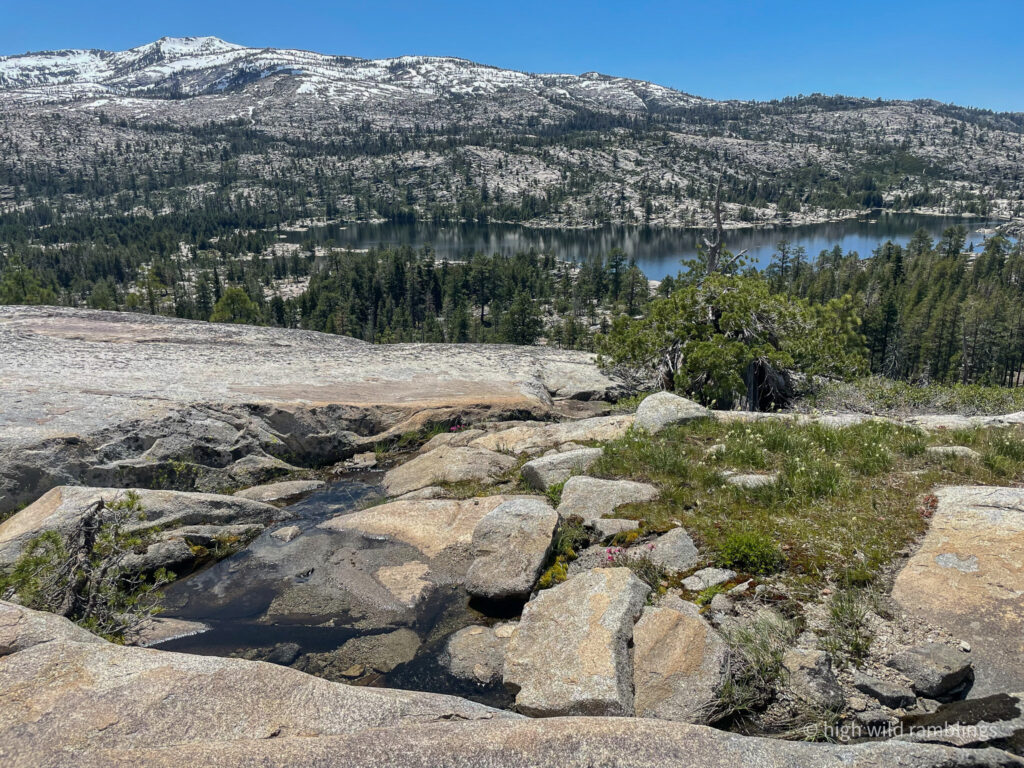 High Wild Ramblings