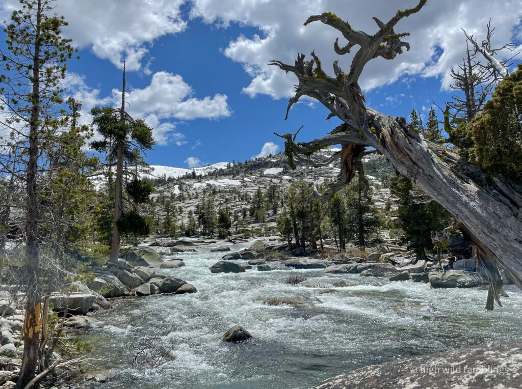 High Wild Ramblings