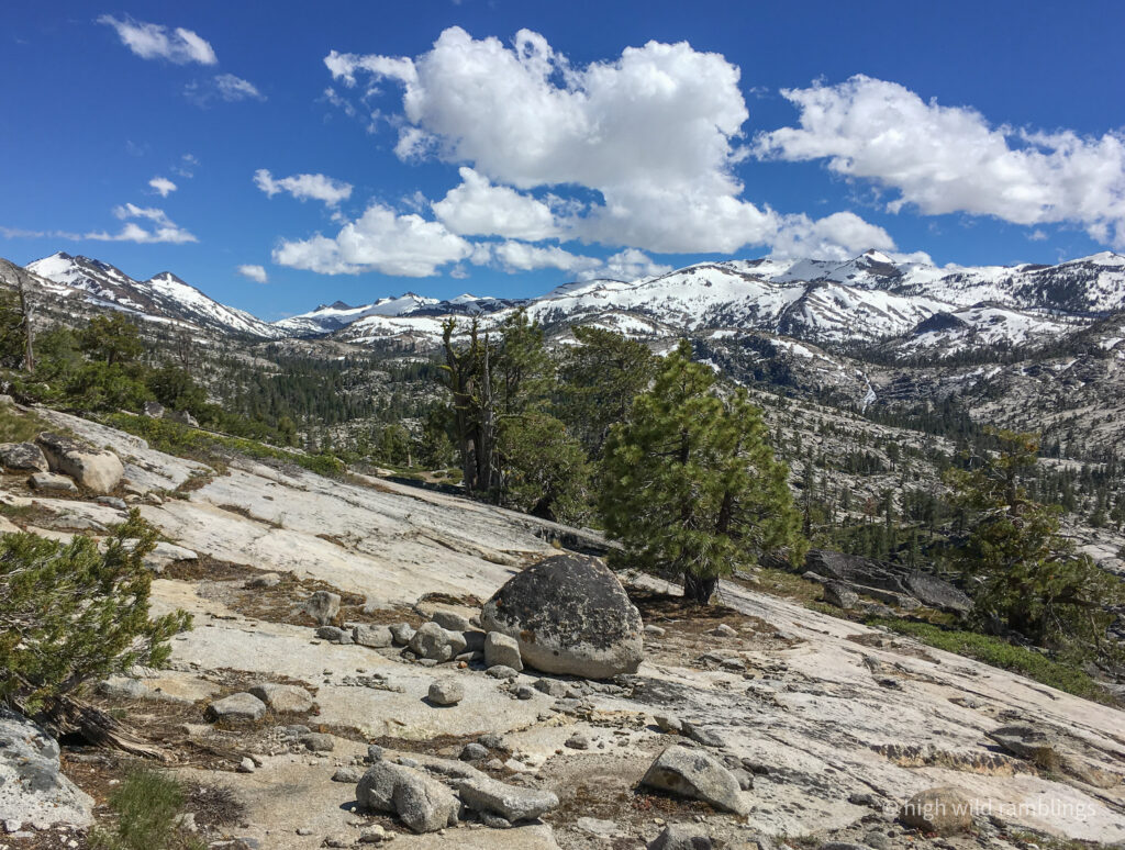 High Wild Ramblings