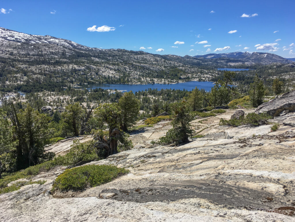 High Wild Ramblings