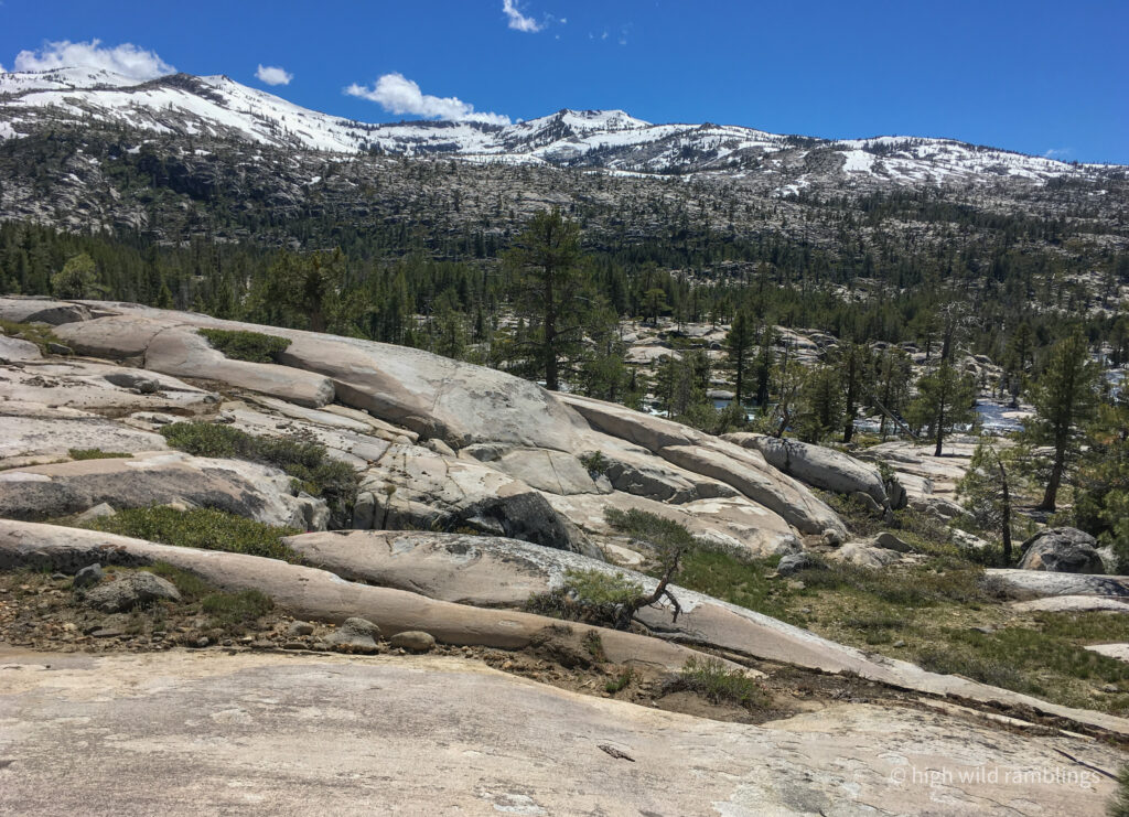 High Wild Ramblings