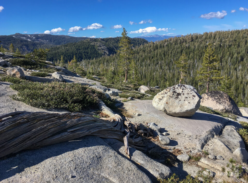 High Wild Ramblings