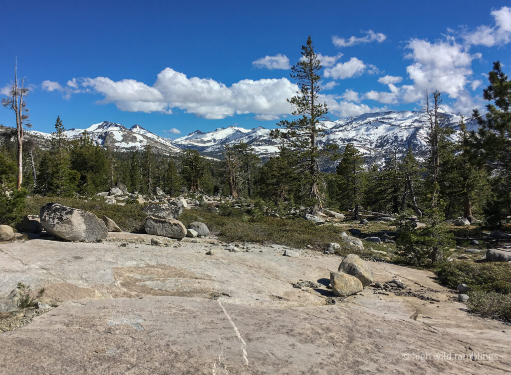 High Wild Ramblings