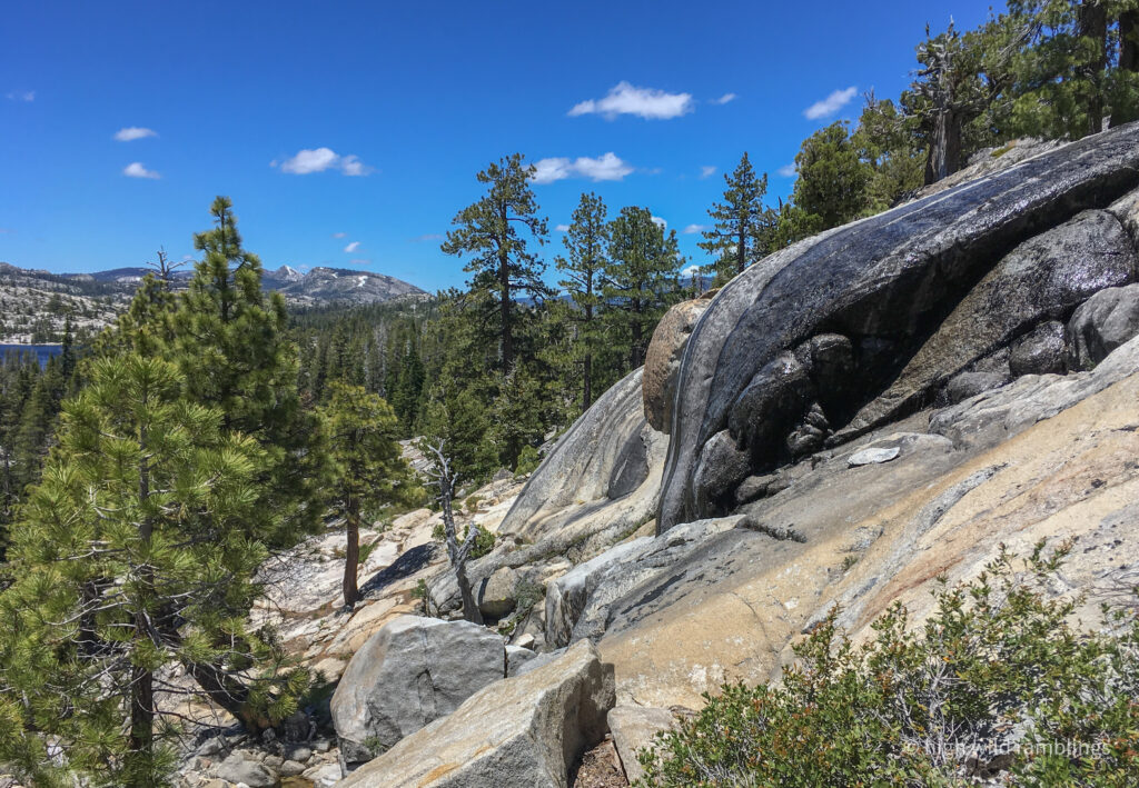 High Wild Ramblings