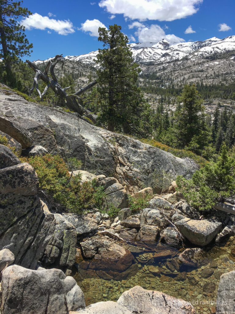 High Wild Ramblings