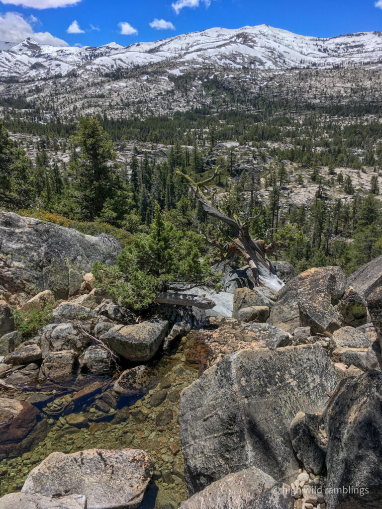 High Wild Ramblings