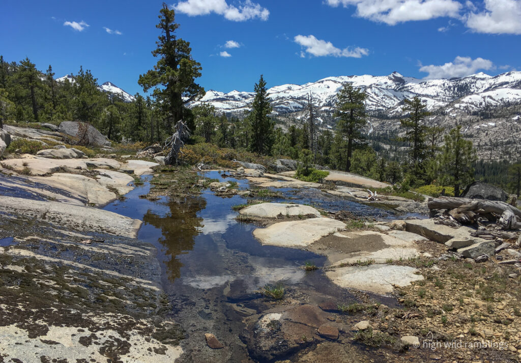 High Wild Ramblings