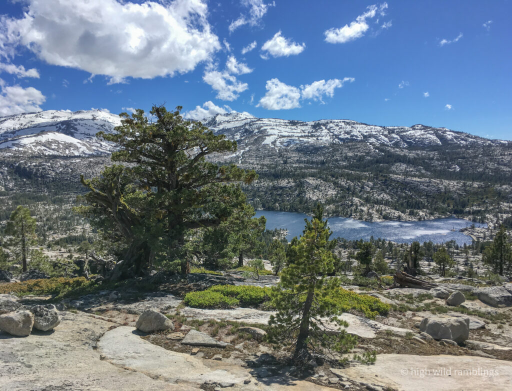 High Wild Ramblings