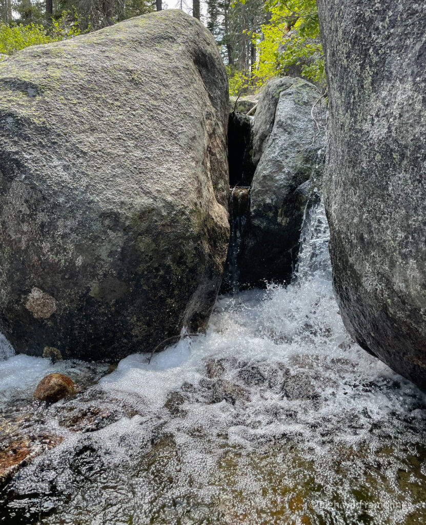 High Wild Ramblings