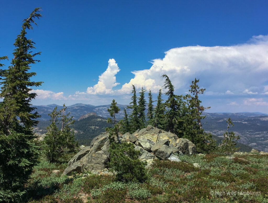High Wild Ramblings