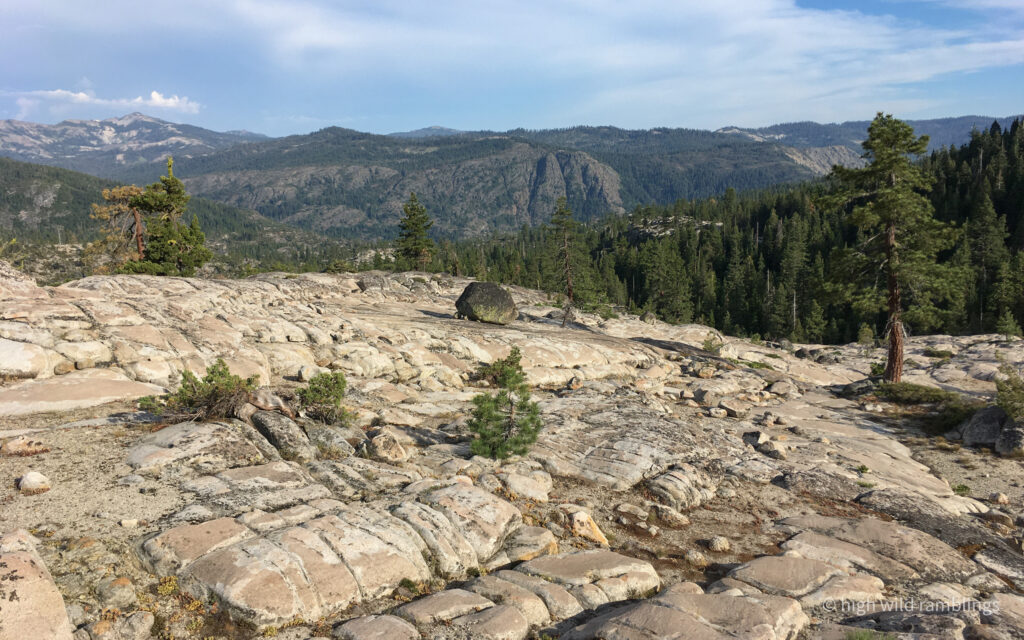 High Wild Ramblings