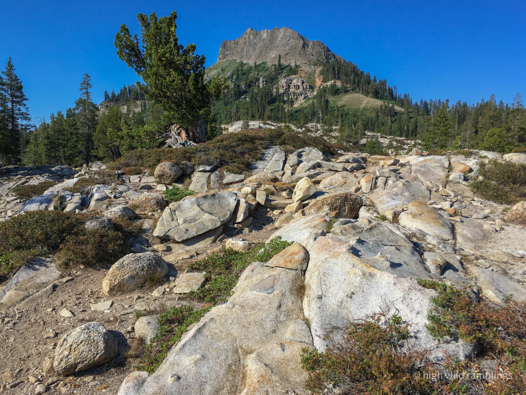 High Wild Ramblings