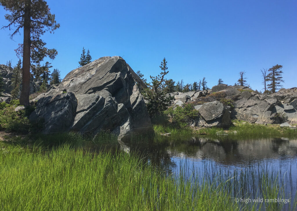High Wild Ramblings