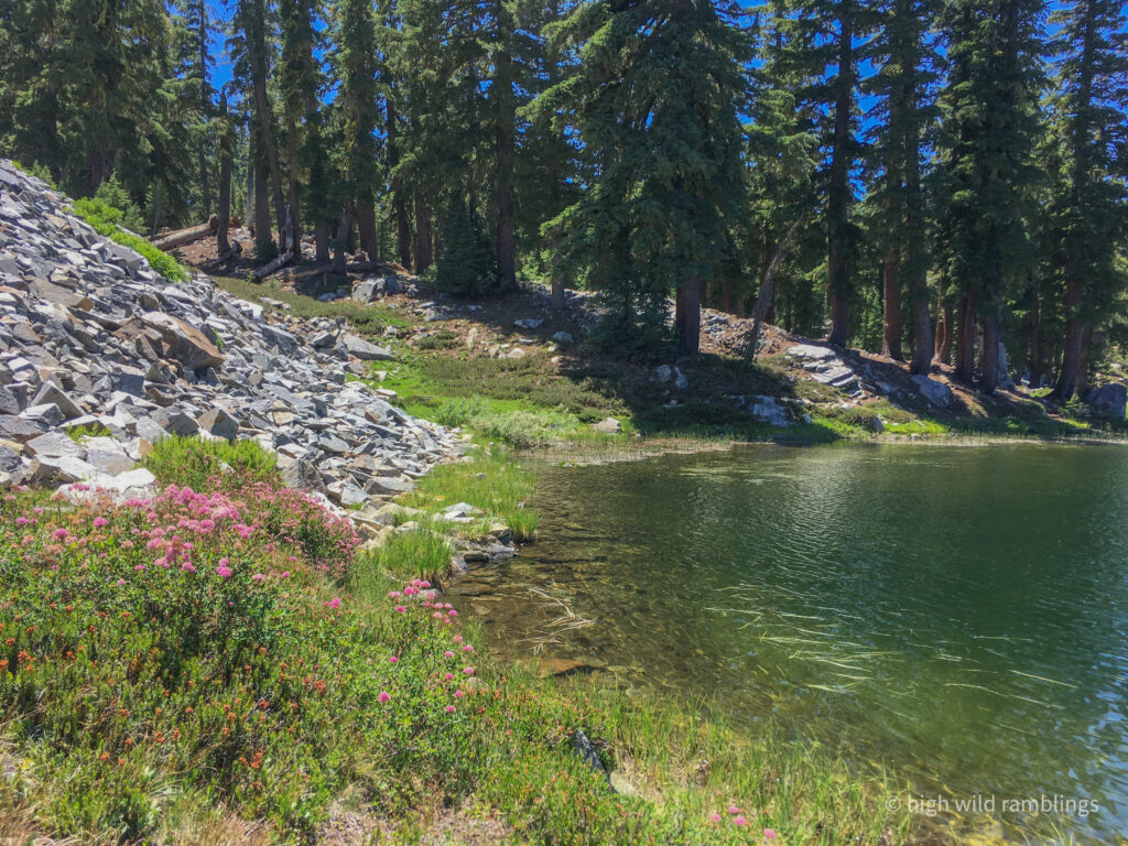 High Wild Ramblings