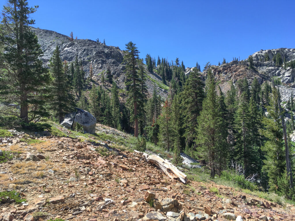 High Wild Ramblings