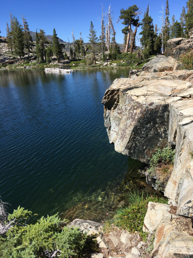 High Wild Ramblings