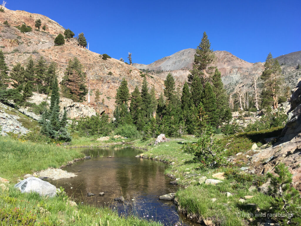 High Wild Ramblings