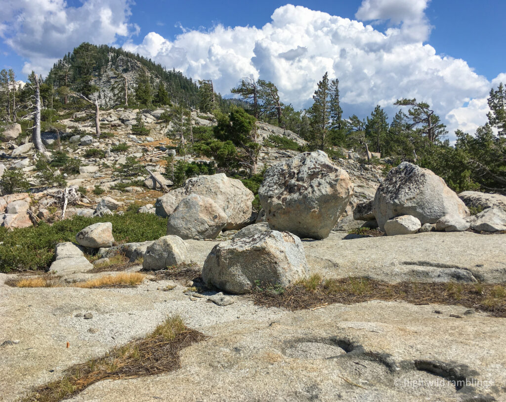 High Wild Ramblings