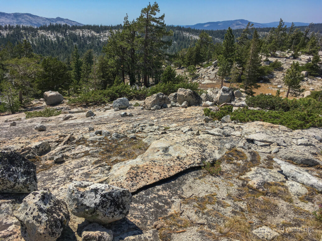 High Wild Ramblings