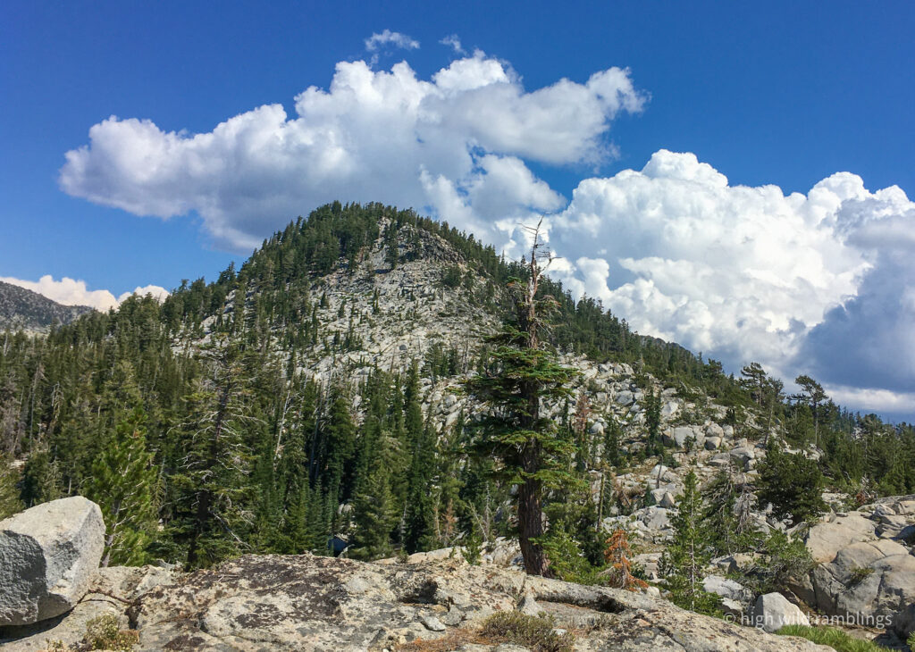 High Wild Ramblings