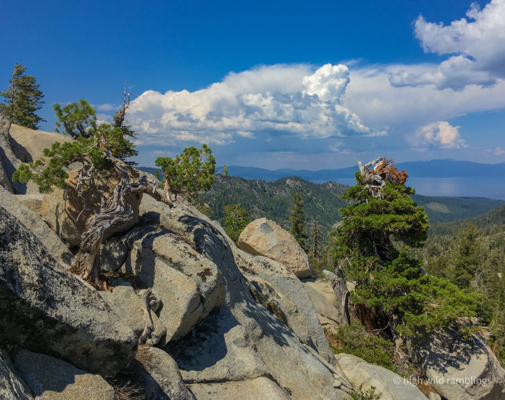 High Wild Ramblings